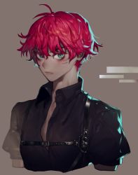 Rule 34 | 1girl, androgynous, antenna hair, asian, black shirt, brown background, chest harness, closed mouth, collared shirt, commentary, english commentary, green eyes, harness, highres, looking at viewer, loose clothes, original, pigeon666, red hair, shirt, short hair, short sleeves, solo, tomboy, upper body, wing collar
