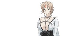 Rule 34 | 00s, 1girl, ahoge, akitsu, akitsu (sekirei), between breasts, breasts, brown hair, chain, cleavage, facial mark, forehead mark, frown, grey eyes, highres, huge breasts, japanese clothes, kimono, large breasts, no bra, off shoulder, sekirei, short hair, solo, transparent background, vector trace, wallpaper, yin yang