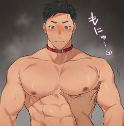 Rule 34 | 2boys, abs, animal collar, animal ears, bara, black hair, blush, closed mouth, collar, dark-skinned male, dark skin, dog boy, dog ears, grabbing, groping, hand on another&#039;s chest, large pectorals, male focus, multiple boys, muscular, muscular male, original, otototo, pectoral focus, pectoral grab, pectorals, short hair, simple background, solo focus, translation request, upper body, yaoi