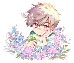 Rule 34 | 1boy, artist name, bandaged hand, bandaid, bandaid on face, bandaid on nose, blush, brown eyes, brown hair, bug, butterfly, caterpillar, flower, hydrangea, insect, kiyose akame, looking at viewer, male focus, original, shirt, signature, simple background, smile, solo, striped clothes, striped shirt, white background