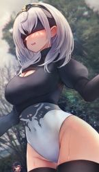 Rule 34 | 2b (nier:automata), 2b (nier:automata) (cosplay), 2girls, absurdres, amane sora, black legwear, blindfold, breasts, cleavage, cleavage cutout, clothing cutout, cosplay, covered navel, day, highres, hololive, houshou marine, juliet sleeves, large breasts, long hair, long sleeves, multiple girls, nier:automata, nier (series), open mouth, outdoors, puffy sleeves, shirogane noel, silver hair, solo focus, sweat, teeth, thighhighs, thighs, thumbs up, tiara, tree, two-tone leotard, upper teeth only, virtual youtuber