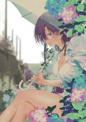 Rule 34 | 1girl, blue skirt, breasts, chain, cleavage, collar, crossed legs, eyelashes, feet out of frame, fingernails, flower, hair behind ear, hair over one eye, highres, holding, holding umbrella, jitsu wa watashi wa, large breasts, long fingernails, long hair, masuda eiji, metal collar, mole, mole under eye, official art, outdoors, parted bangs, parted lips, pleated skirt, profile, purple eyes, purple hair, rain, shirt, shishido shiho, sitting, skirt, smile, solo, thighhighs, thighs, umbrella, white shirt
