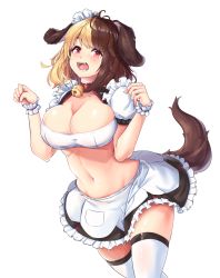 Rule 34 | 1girl, animal ears, bell, blonde hair, breasts, brown hair, cleavage, collar, dog ears, dog girl, dog tail, fangs, hachiko of castling, highres, kiwoseo meogneundas, large breasts, last origin, maid, maid headdress, medium hair, midriff, multicolored hair, navel, neck bell, open mouth, paw pose, red collar, red eyes, skirt, solo, split-color hair, tail, tareme, thighhighs, two-tone hair, waist cape, white thighhighs
