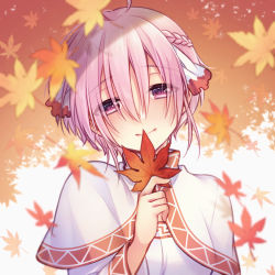 Rule 34 | 1girl, ahoge, autumn leaves, braid, capelet, closed mouth, cyclamen (flower knight girl), falling leaves, flower knight girl, hair ribbon, holding, holding leaf, kyouya (hosituki), leaf, looking at viewer, maple leaf, pink eyes, pink hair, ribbon, short hair, smile, solo, upper body, white capelet