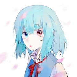 Rule 34 | 1girl, blue eyes, blue hair, blue vest, cherry blossoms, collar, frilled collar, frills, heterochromia, juliet sleeves, long sleeves, mikoko, puffy sleeves, red eyes, red ribbon, ribbon, short hair, simple background, solo, tatara kogasa, tongue, tongue out, touhou, vest, white background