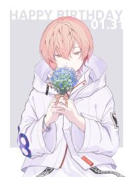 Rule 34 | 1boy, blue flower, border, bouquet, covered mouth, dated, flower, grey background, happy birthday, highres, holding, holding bouquet, holding flower, hood, hood down, jacket, long sleeves, looking at viewer, male focus, miyama kei, multicolored background, paradox live, pink eyes, pink hair, short hair, solo, tyocolaci, white border, white flower, white jacket