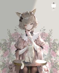 Rule 34 | 1girl, absurdres, animal ear fluff, animal ears, antenna hair, black bow, blue eyes, blush, bow, brown hair, brown pantyhose, cat, cat ears, closed mouth, commentary, dress, english commentary, fingernails, flower, hair bow, heterochromia, highres, jung wonjo, layered sleeves, long sleeves, pantyhose, pink dress, red eyes, red flower, short hair, signature, sitting, smile, solo, table, wide sleeves