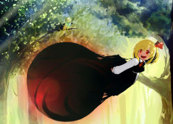 Rule 34 | 1girl, bird, black dress, blonde hair, commentary request, darkness, dress, fang, flying, forest, hair ribbon, long sleeves, nature, open mouth, red dress, ribbon, rumia, shirt, smile, solo, suisai (suisao), touhou