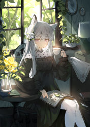 Rule 34 | 1girl, animal ear fluff, animal ears, arknights, black dress, book, chinese commentary, closed mouth, commentary, cup, drawer, dress, feet out of frame, flower, grey hair, hair flower, hair ornament, hand up, heavyrain (arknights), heavyrain (tranquil moss) (arknights), holding, holding cup, indoors, lampshade, leaf, letter, long hair, long sleeves, looking at viewer, mirror, official alternate costume, open book, open window, pink eyes, plant, potted plant, sitting, solo, suitcase, table, teacup, tree, vase, wax seal, white flower, window, yellow flower, yeziduanduan, zebra ears