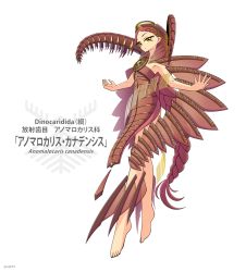 Rule 34 | 1girl, anomalocaris, barefoot, braid, brown hair, carapace, commentary request, expressionless, full body, highres, jun075, long hair, looking at viewer, orange eyes, original, outstretched arms, personification, solo, spread arms, very long hair, white background