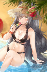 Rule 34 | 1girl, absurdres, animal ears, arknights, arm support, bare arms, bare shoulders, beach, bikini, black bikini, blush, breasts, cat ears, cat tail, cleavage, collarbone, commentary, ears through headwear, feet out of frame, flower, food, hair over one eye, hand up, hat, hat flower, hibiscus, highres, holding, holding food, kanniiepan, large breasts, long hair, looking at viewer, navel, parted lips, popsicle, red flower, schwarz (arknights), scrunchie, silver hair, sitting, solo, starfish, stomach, sun hat, swimsuit, tail, thighs, very long hair, water, wrist scrunchie, yellow eyes