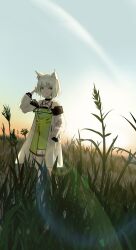 Rule 34 | 1girl, animal ear fluff, animal ears, arknights, arm up, backlighting, bare shoulders, bloom, cat ears, cat girl, chinese commentary, closed mouth, coat, commentary request, dress, field, full body, green dress, green eyes, hand in own hair, hand in pocket, highres, kal&#039;tsit (arknights), lab coat, lens flare, long sleeves, looking at viewer, off shoulder, open clothes, open coat, outdoors, plant, short hair, smile, solo, standing, stethoscope, sunlight, white coat, white hair, xi zhi hergoth