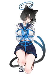 Rule 34 | 1girl, absurdres, animal ears, arms behind back, bdsm, black eyes, black hair, black ribbon, blue archive, blue halo, blue neckerchief, blue sailor collar, blue skirt, bondage, bound, breasts, cat ears, cat girl, cat tail, commentary, gompang 11, halo, head tilt, highres, kikyou (blue archive), large breasts, looking at viewer, midriff peek, multiple tails, navel, neck ribbon, neckerchief, on one knee, ribbon, sailor collar, sandals, shirt, short hair, simple background, skirt, socks, solo, tail, thighs, two tails, white background, white shirt, white socks