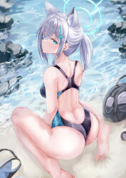 Rule 34 | 1girl, absurdres, age fx, animal ear fluff, animal ears, ass, back, bare shoulders, barefoot, beach, blue archive, blue eyes, blue one-piece swimsuit, blush, breasts, competition swimsuit, cross hair ornament, extra ears, feet, grey hair, hair ornament, halo, highleg, highleg swimsuit, highres, looking at viewer, looking back, medium breasts, medium hair, multicolored clothes, multicolored swimsuit, official alternate costume, one-piece swimsuit, revision, shiroko (blue archive), shiroko (swimsuit) (blue archive), shore, short ponytail, sidelocks, sitting, solo, swimsuit, wariza, wolf ears