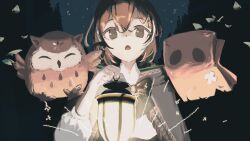 Rule 34 | 1girl, 2others, absurdres, brown capelet, brown cloak, brown eyes, brown hair, cape, capelet, cloak, crossed bangs, forest, friend (nanashi mumei), glowing, hair ornament, hairclip, hieroglyphics, highres, holding, holding lantern, hololive, hololive english, hootsie (nanashi mumei), lantern, light, multicolored hair, multiple others, nanashi mumei, nanashi mumei (1st costume), nature, night, olime sian, open mouth, ribbon, shirt, sky, sparkle, star (sky), starry sky, streaked hair, virtual youtuber, white shirt