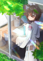 Rule 34 | 1girl, absurdres, agnes tachyon (umamusume), ahoge, animal ears, bandolier, blurry, blurry foreground, blush, book, book stack, brown hair, closed mouth, clothing cutout, commentary request, cowboy shot, cup, desk, gorioshi0802, hair between eyes, highres, holding, holding test tube, horse-drawn, horse ears, horse girl, horse tail, indoors, lens flare, messy hair, mug, paper, red eyes, short hair, sleeves past fingers, sleeves past wrists, solo, sunlight, tail, tail through clothes, test tube, tree, umamusume, window