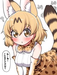 Rule 34 | 1girl, ?, animal ear fluff, animal ears, bad id, bad twitter id, bare shoulders, belt, blonde hair, blush, bow, bowtie, brown hair, commentary request, elbow gloves, extra ears, eyes visible through hair, gloves, gradient gloves, hair between eyes, high-waist skirt, highres, kemono friends, looking at viewer, multicolored hair, ngetyan, print bow, print bowtie, print gloves, print neckwear, print skirt, serval (kemono friends), serval print, serval tail, shirt, short hair, skirt, sleeveless, solo, tail, traditional bowtie, translation request, white gloves, white shirt, yellow eyes