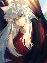 Rule 34 | 1boy, animal ears, blue sky, day, dog ears, highres, inuyasha, inuyasha (character), japanese clothes, long hair, looking down, male focus, mgmg 1012, open mouth, outdoors, shaded face, sky, solo, tree, upper body, white hair, yellow eyes