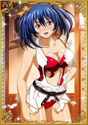 Rule 34 | 00s, 1girl, bashoku youjou, breasts, card (medium), dress, female focus, ikkitousen, large breasts, long hair, looking at viewer, twintails