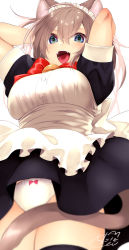 Rule 34 | 1girl, :d, animal ears, apron, arms behind head, arms up, black dress, black thighhighs, blue eyes, bow, bow panties, breasts, brown hair, cat ears, cat girl, cat tail, chita (ketchup), dress, fangs, frilled apron, frills, from below, hair between eyes, highres, long hair, looking at viewer, maid, maid headdress, medium breasts, open mouth, original, panties, puffy short sleeves, puffy sleeves, short sleeves, signature, smile, solo, tail, thighhighs, underwear, white apron, white background, white panties