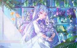 Rule 34 | 1girl, alternate costume, blue eyes, blue hair, commentary request, cowboy shot, curtains, dress, flower, flower bracelet, flower request, hair ribbon, hatsune miku, head tilt, holding, holding jar, hydrangea, indoors, jar, leaf, lily (flower), long hair, looking at viewer, neck ribbon, orange flower, parted lips, petals, plant, puffy short sleeves, puffy sleeves, purple flower, purple ribbon, purple rose, qie, ribbon, rose, shelf, short sleeves, smile, solo, tulip, twintails, very long hair, vocaloid, water, white dress, white flower, white rose