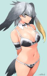 Rule 34 | 1girl, arm cuffs, arms behind back, bird tail, blue background, bow, bow bra, bow panties, bra, breasts, cleavage, closed mouth, collarbone, commentary request, cowboy shot, dated, detached collar, eyes visible through hair, frilled bra, frilled panties, frills, frown, green eyes, grey hair, happa (cloverppd), head wings, kemono friends, large breasts, navel, panties, sanpaku, shoebill (kemono friends), signature, simple background, single sidelock, solo, tail, tsurime, underwear, underwear only, wings