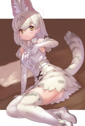 Rule 34 | 1girl, :3, animal ears, bare shoulders, blush, boots, bow, bowtie, commentary request, elbow gloves, extra ears, flying sweatdrops, gloves, highres, kemono friends, looking at viewer, on bed, pillow, print bow, print bowtie, print gloves, print neckwear, print skirt, print thighhighs, serval print, serval tail, shirt, short hair, skirt, sleeveless, solo, tadano magu, tail, thighhighs, white background, white bow, white bowtie, white footwear, white gloves, white hair, white serval (kemono friends), white shirt, white skirt, yellow eyes, zettai ryouiki