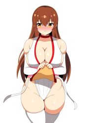 Rule 34 | 1girl, bare shoulders, blush, breasts, brown eyes, brown hair, cleavage, clothes lift, dead or alive, embarrassed, gians noby, kasumi (doa), large breasts, long hair, looking to the side, pelvic curtain, pelvic curtain lift, sideboob, thick thighs, thighhighs, thighs