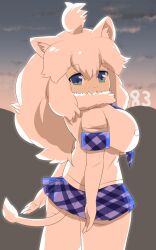 Rule 34 | 1girl, animal ear fluff, animal ears, ass, blue eyes, blue skirt, blue sky, blush, breasts, closed mouth, cloud, commentary request, cowboy shot, elbow gloves, from behind, fur collar, gloves, highres, kemono friends, large breasts, lets0020, lion ears, lion girl, lion tail, long hair, looking at viewer, looking back, medium bangs, miniskirt, numbered, outdoors, pantyhose, plaid, plaid skirt, pleated skirt, shirt, short sleeves, skirt, sky, smile, solo, sunset, tail, white gloves, white hair, white lion (kemono friends), white pantyhose, white shirt
