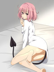 Rule 34 | 1girl, barefoot, bed, demon tail, dress shirt, feet, finger to mouth, highres, lying, momo velia deviluke, on side, pink eyes, pink hair, shirt, soles, tail, to love-ru, toes