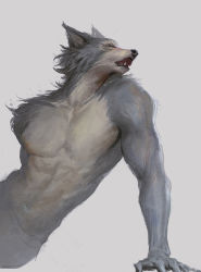 Rule 34 | 1boy, absurdres, arm support, beastars, commentary, facing to the side, fang, furry, furry male, grey background, highres, leaning to the side, legoshi, male focus, open mouth, profile, scar, scar across eye, scar on face, simple background, sitting, solo, topless male, upper body, wolf boy, zzhenliu