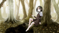 Rule 34 | 1girl, autumn, barefoot, black eyes, black hair, brown dress, capelet, commentary request, day, dress, falling leaves, forest, full body, highres, holding, kajiji, leaf, looking at viewer, medium hair, nature, original, outdoors, parted lips, river, scenery, short dress, sitting, solo, tree, white capelet