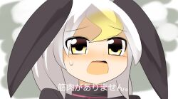 Rule 34 | 1girl, bald eagle (kemono friends), black shirt, black wings, blonde hair, blush, commentary request, grey background, head wings, kemono friends, lets0020, looking at viewer, medium bangs, medium hair, multicolored hair, open mouth, portrait, shirt, solo, translation request, two-tone hair, white hair, wings, yellow eyes