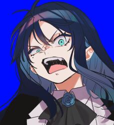 Rule 34 | 1girl, ado (utaite), angry, ascot, black ascot, blue background, blue eyes, blue flower, blue hair, blue rose, chando (ado), cloud nine inc, collared shirt, commentary, floating hair, flower, flower brooch, highres, long hair, looking at viewer, mole, mole under eye, open mouth, riseno, rose, shirt, sidelocks, simple background, solo, teeth, upper body, upper teeth only, utaite, white shirt, wide-eyed