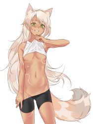 Rule 34 | 1girl, absurdres, animal ears, areola slip, bare shoulders, bike shorts, blush, clothes lift, cowboy shot, fox ears, fox tail, green eyes, grey hair, hand up, highres, long hair, looking at viewer, milim nova, navel, original, shirt lift, simple background, smile, solo, tail, tattoo, very long hair, white background