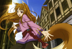 Rule 34 | 1girl, absurdres, animal ears, highres, holo, shinohara kenji, spice and wolf, tail