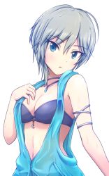 Rule 34 | 10s, 1girl, anastasia (idolmaster), bad id, bad pixiv id, blue eyes, breasts, cleavage, hand on own chest, idolmaster, idolmaster cinderella girls, jewelry, looking at viewer, necklace, pushimi, short hair, silver hair, solo, unzipped, upper body, wet