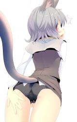 Rule 34 | 1girl, ^^^, animal ears, ass, bent over, black panties, blush, capelet, clothes lift, cowboy shot, from behind, grey hair, grey shirt, grey skirt, ishikkoro, long sleeves, looking at viewer, looking back, miniskirt, mouse ears, mouse tail, nazrin, panties, red eyes, shirt, skirt, skirt lift, skirt set, solo, tail, touhou, underwear, white background