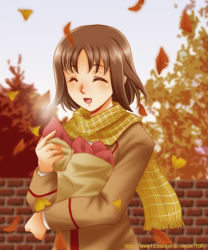Rule 34 | 00s, autumn, autumn leaves, brown hair, food, gokujou seitokai, katsura seina, leaf, scarf, sinko, solo, sweet potato