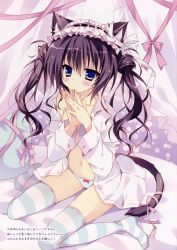 Rule 34 | 1girl, absurdres, animal ears, bed, cat ears, cat tail, copyright request, green thighhighs, hairband, herurun, highres, lolita hairband, long sleeves, no pants, open clothes, open shirt, panties, petite, pillow, purple eyes, purple hair, shirt, sitting, solo, striped clothes, striped thighhighs, tail, thighhighs, translation request, twintails, underwear, wariza, white panties