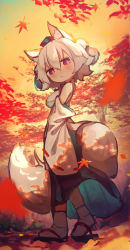 Rule 34 | 1girl, absurdres, animal ear fluff, autumn leaves, black skirt, breasts, chii (tsumami tsumamare), commentary, detached sleeves, full body, hat, highres, inubashiri momiji, leaf, looking at viewer, maple leaf, medium breasts, outdoors, pom pom (clothes), red eyes, red hat, ribbon-trimmed sleeves, ribbon trim, sandals, skirt, socks, solo, standing, symbol-only commentary, tail, tokin hat, touhou, white hair, white socks, wide sleeves, wolf girl, wolf tail, zouri