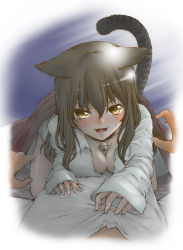 Rule 34 | 1girl, animal ears, bell, neck bell, blanket, blush, breast press, breasts, brown eyes, brown hair, cat ears, cat tail, cleavage, collar, collarbone, dress shirt, fangs, girl on top, highres, jingle bell, kumagai ayato, long hair, long sleeves, looking at viewer, medium breasts, naked shirt, open mouth, original, shirt, smile, solo focus, tail, white shirt