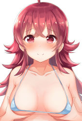 Rule 34 | 1girl, ahoge, bare shoulders, bikini, blue bikini, blush, breast hold, breasts, closed mouth, collarbone, commentary request, crossed bangs, hair between eyes, highres, idolmaster, idolmaster shiny colors, komiya kaho, long hair, looking at viewer, medium breasts, micro bikini, noa yj, nose blush, red eyes, red hair, simple background, smile, solo, swimsuit, very long hair, white background