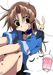 Rule 34 | 1girl, :3, absurdres, animal, animal on shoulder, bandaid, bandaid on cheek, bandaid on face, black eyes, blue collar, blue shirt, brown hair, bruise, cat, closed eyes, closed mouth, collar, collarbone, commentary, cup, dated commentary, disposable cup, ed-chan (edkuroki), edkuroki, english commentary, gauze on cheek, gauze on knee, hair intakes, highres, holding, holding cup, injury, long hair, looking at animal, messy hair, original, rabbit, shirt, signature, simple background, smile, wavy mouth, white background