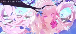 Rule 34 | 1girl, absurdres, bare shoulders, bouquet, branch, breasts, bridal veil, chinese commentary, closed mouth, collarbone, commentary request, diamond-shaped pupils, diamond (shape), elysia (herrscher of human:ego) (honkai impact), elysia (honkai impact), flower, go satoshi ko, hair between eyes, hair intakes, hands up, highres, holding, holding bouquet, honkai (series), honkai impact 3rd, jewelry, large breasts, long hair, looking at object, pink hair, portrait, purple eyes, purple pupils, ring, sidelocks, smile, solo, symbol-shaped pupils, translation request, veil, very long hair