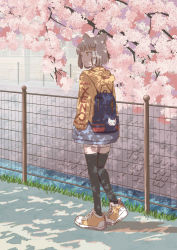 Rule 34 | 1girl, animal ears, backpack, bag, black thighhighs, blue bag, blunt bangs, cat ears, cherry blossoms, contemporary, dappled sunlight, day, from behind, full body, hands in pockets, highres, hood, hoodie, kageyasu, nia (xenoblade), outdoors, shoes, short hair, shorts, silver hair, sneakers, solo, sunlight, thighhighs, walking, white shorts, xenoblade chronicles (series), xenoblade chronicles 2, yellow eyes, yellow footwear, yellow hoodie