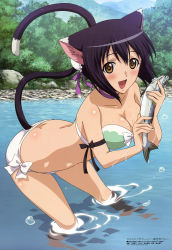 Rule 34 | 10s, 1girl, absurdres, animal ears, bikini, black hair, blush, breasts, brown eyes, cat ears, cat tail, cleavage, fish, highres, megami magazine, non-web source, official art, open mouth, river, scan, sega, sexually suggestive, shaomei rin, shining (series), shining hearts, side-tie bikini bottom, solo, swimsuit, tail, wading, water, yahiro yuuko