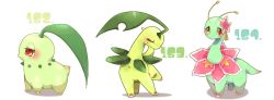 Rule 34 | :3, animal focus, bayleef, blush, chikorita, claws, closed eyes, closed mouth, creatures (company), evolutionary line, flower, from side, full body, game freak, gen 2 pokemon, green outline, hair flower, hair ornament, half-closed eyes, happy, leaf, leg up, looking at viewer, meganium, nintendo, no humans, outline, pink flower, pokedex number, pokemon, pokemon (creature), red eyes, shira (sirairo116), simple background, smile, standing, u u, white background, yellow eyes