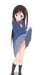 Rule 34 | 1girl, blazer, blush, bow, bowtie, brown hair, cleft of venus, closed mouth, clothes lift, embarrassed, female focus, hair ornament, head tilt, highres, hitori bocchi, hitoribocchi no marumaru seikatsu, jacket, lifted by self, loafers, long hair, long sleeves, looking at viewer, no panties, pleated skirt, ponytail, purple eyes, pussy, school uniform, shirt, shoes, side ponytail, simple background, sincos, skirt, skirt lift, socks, solo, standing, third-party edit, uncensored, white background