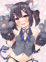Rule 34 | 1girl, animal ear fluff, animal ears, animal hands, bare shoulders, bell, black hair, black panties, blue ribbon, blush, breasts, brown eyes, cat ears, cat tail, collarbone, fake animal ears, fate/kaleid liner prisma illya, fate (series), feather hair ornament, feathers, gloves, grey gloves, grey vest, hair ornament, hairclip, highres, jingle bell, long hair, looking at viewer, miyu edelfelt, miyu edelfelt (beast style), mochi (k620803n), navel, neck ribbon, open mouth, panties, paw gloves, ribbon, small breasts, solo, tail, twintails, underwear, vest
